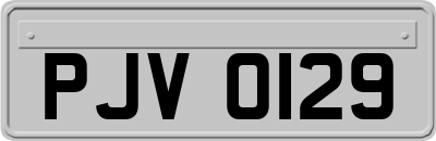 PJV0129