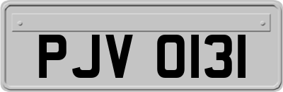 PJV0131