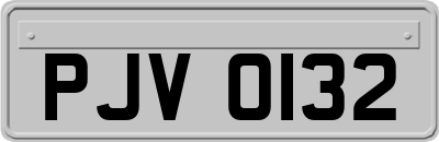 PJV0132