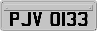 PJV0133