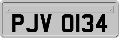 PJV0134