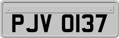 PJV0137