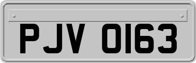 PJV0163