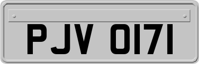 PJV0171