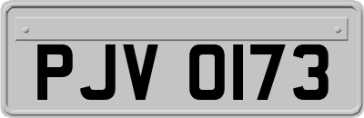 PJV0173