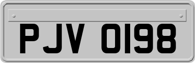 PJV0198