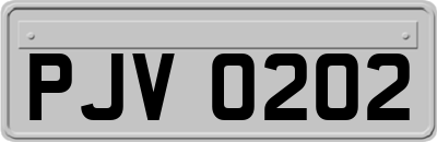 PJV0202