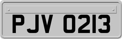 PJV0213