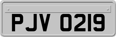 PJV0219