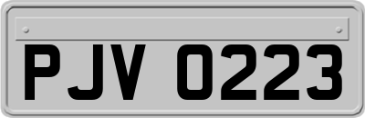 PJV0223