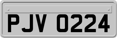 PJV0224