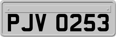 PJV0253