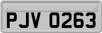 PJV0263