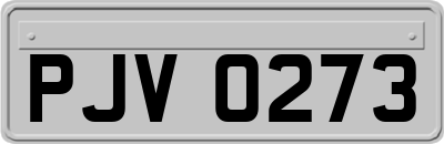 PJV0273