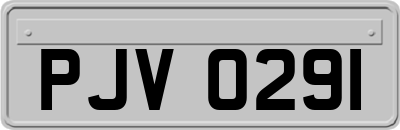 PJV0291