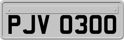 PJV0300