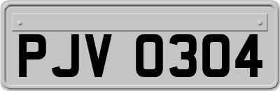 PJV0304