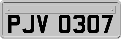 PJV0307