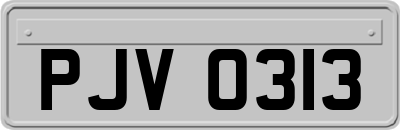 PJV0313