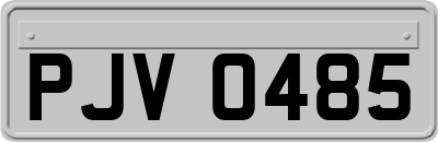 PJV0485