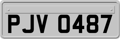 PJV0487