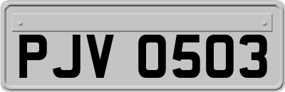 PJV0503
