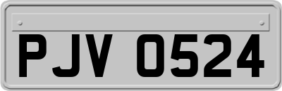 PJV0524