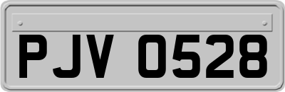 PJV0528