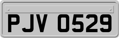 PJV0529