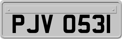 PJV0531
