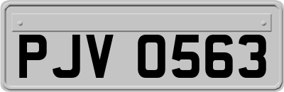 PJV0563
