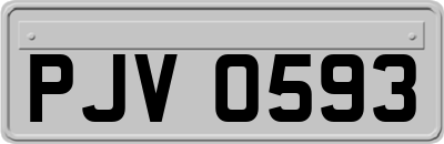 PJV0593