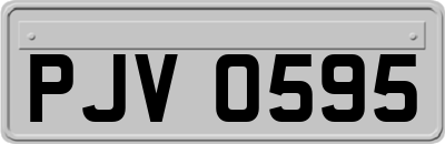 PJV0595