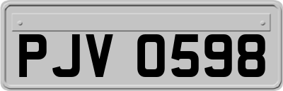 PJV0598