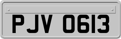 PJV0613