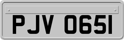 PJV0651