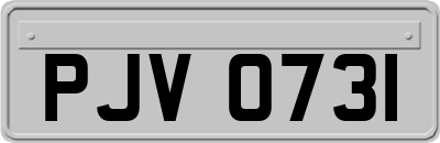 PJV0731