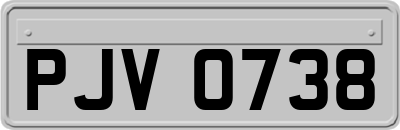 PJV0738