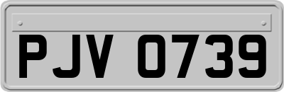 PJV0739