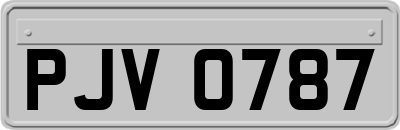 PJV0787