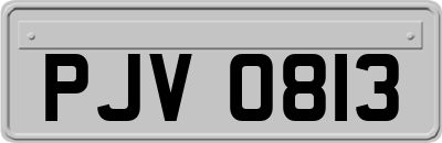 PJV0813