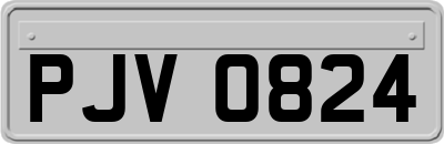 PJV0824