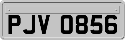 PJV0856