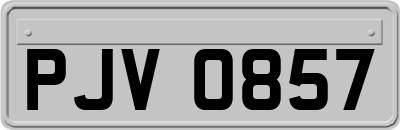 PJV0857
