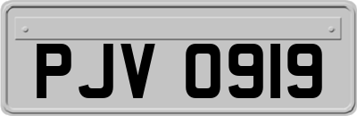 PJV0919