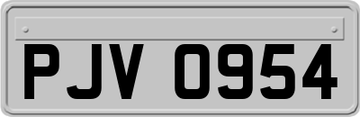 PJV0954