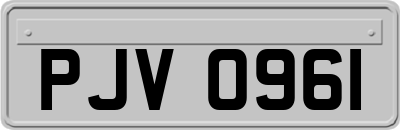 PJV0961