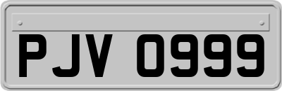 PJV0999