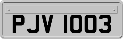 PJV1003