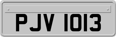 PJV1013